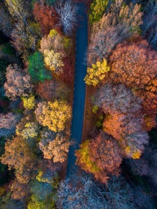 aerial view of an autumn landscape